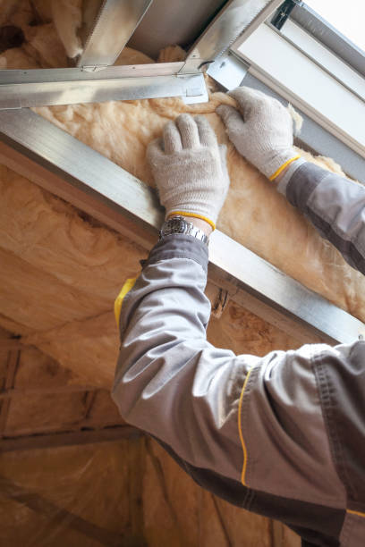 Best Home Insulation Services  in Hanahan, SC