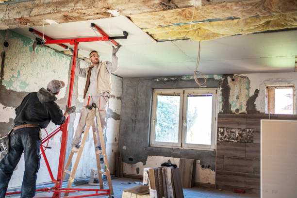 Best Cellulose Insulation  in Hanahan, SC
