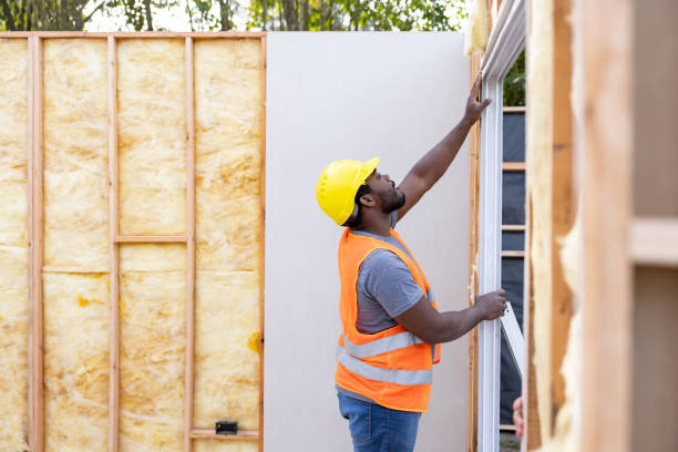 Best Insulation Contractor Near Me  in Hanahan, SC