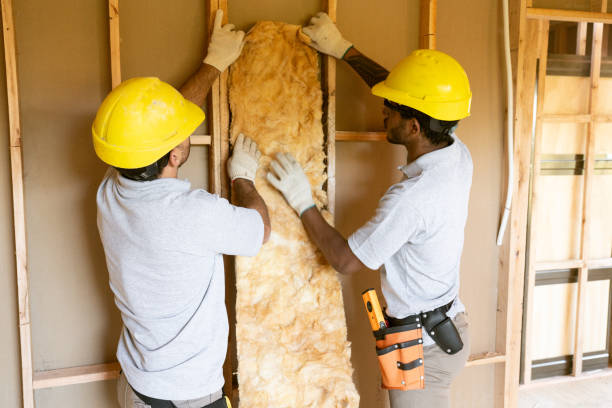 Best Residential Insulation Services  in Hanahan, SC