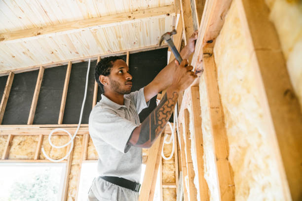 Best Local Insulation Services  in Hanahan, SC