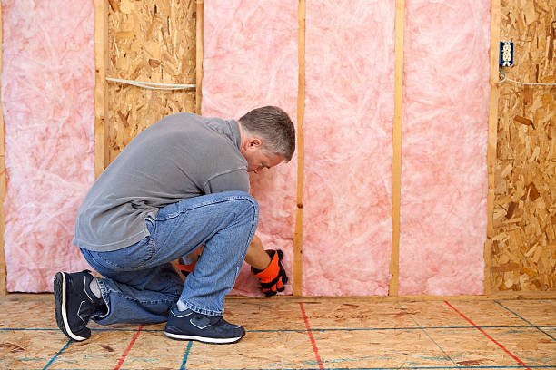Best Attic Insulation Installation  in Hanahan, SC