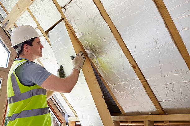 Best Insulation Replacement Services  in Hanahan, SC