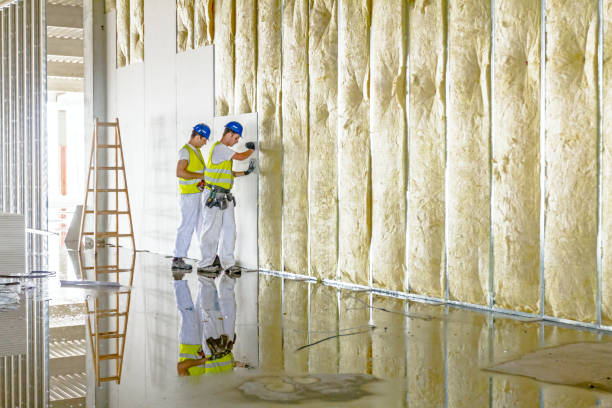 Best Crawl Space Insulation  in Hanahan, SC
